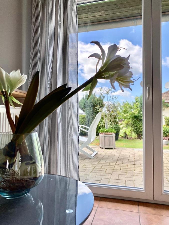 Apartmenthaus Luett Meer Ludorf Eksteriør billede