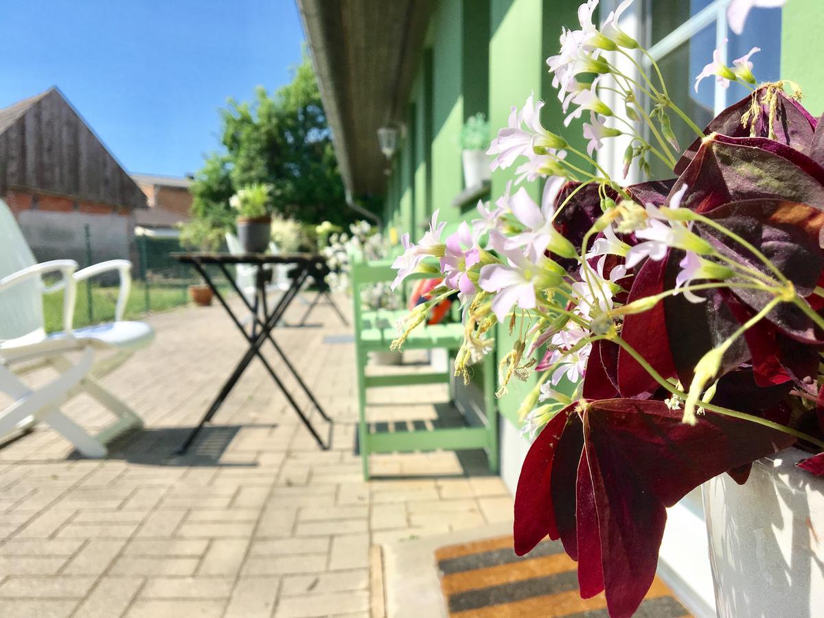 Apartmenthaus Luett Meer Ludorf Eksteriør billede